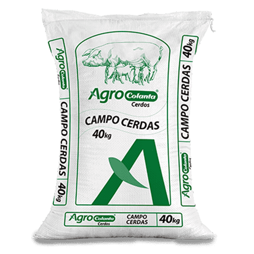 CAMPO CERDAS COLANTA