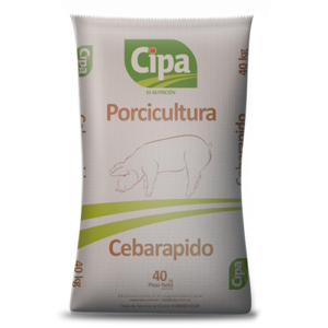 CEBARAPIDO CIPA