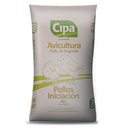 POLLOS CAMPO INICIACIÓN