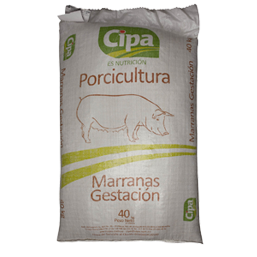 MARRANAS GESTACIÓN CIPA