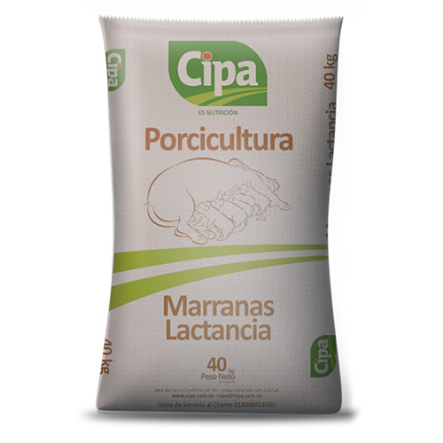 MARRANAS LACTANCIA CIPA