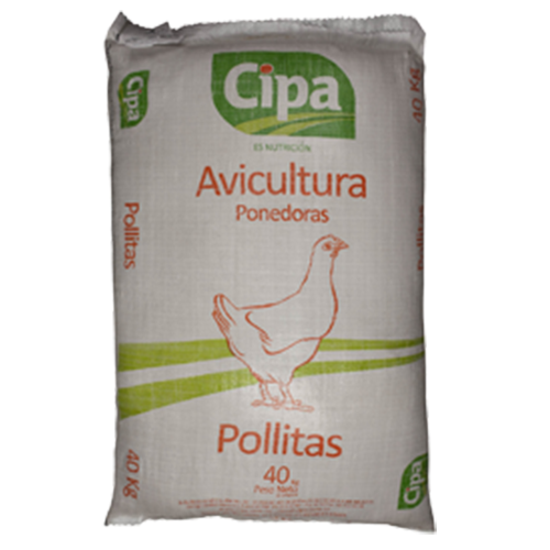 POLLITAS INICIACIÓN