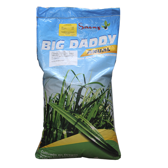 RYE GRASS BIG DADDY