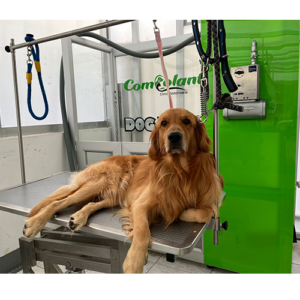 Estetica nueva 03
